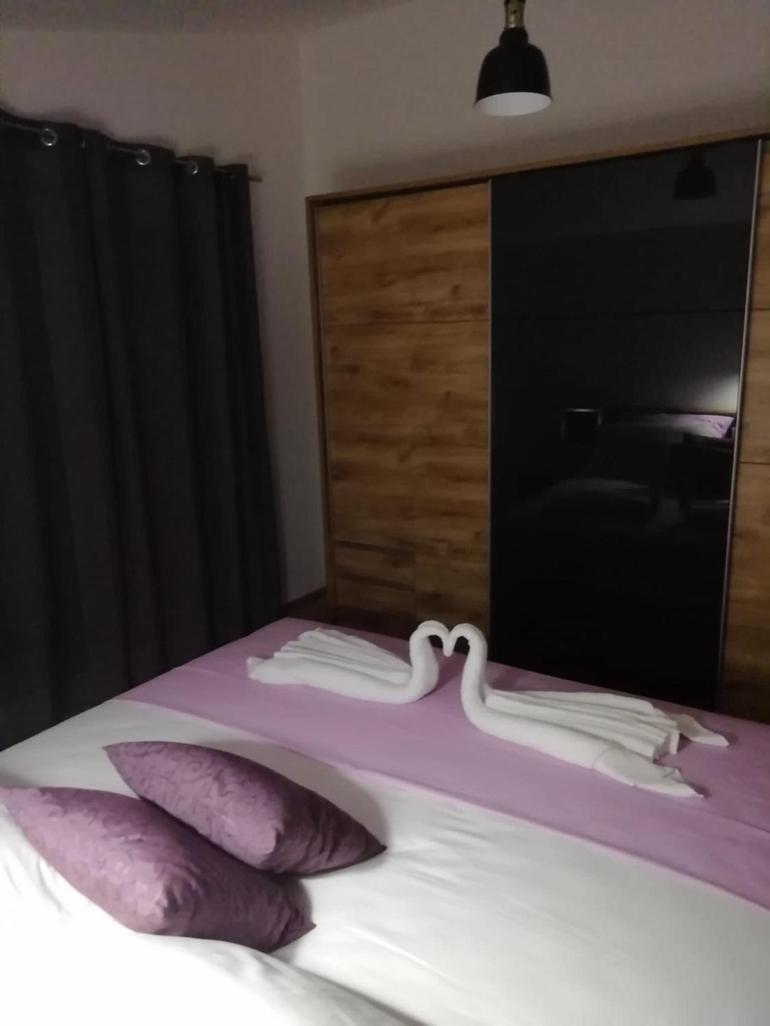 Albatros Apartament *